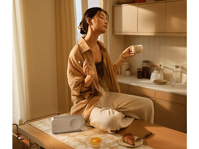 Altavoz bluetooth - BOSE SoundLink Home, 0 W, Bluetooth, 9 h, Plata claro — foto 6