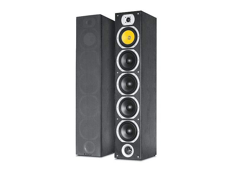 FENTON Altavoz de suelo - FENTON SHFT57B, Black