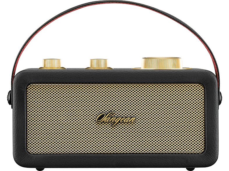 Altavoz inalámbrico - SANGEAN RA-101 Black Gold, 10 W, Bluetooth, Negro — foto 5