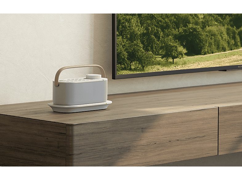 Altavoz inalámbrico - Sony SRS-LSR200, Altavoz TV para Personas con dificultad auditiva y Personas Mayores, Portátil, Función Mando a distancia — foto 2