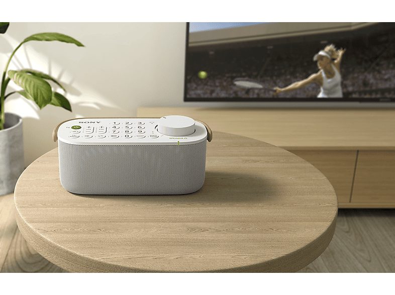 Altavoz inalámbrico - Sony SRS-LSR200, Altavoz TV para Personas con dificultad auditiva y Personas Mayores, Portátil, Función Mando a distancia — foto 3