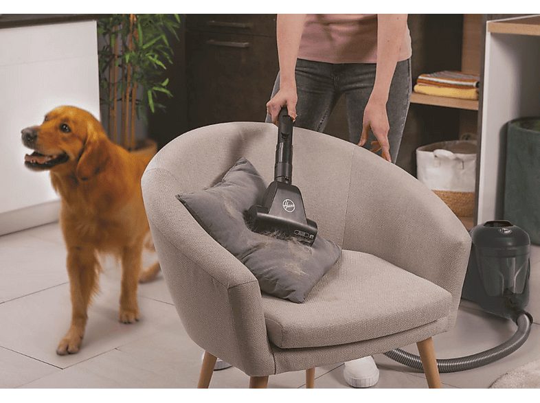 Aspirador con bolsa - HOOVER HP321PAF 011, 850 W, Depósito 2 l, Negro — foto 4