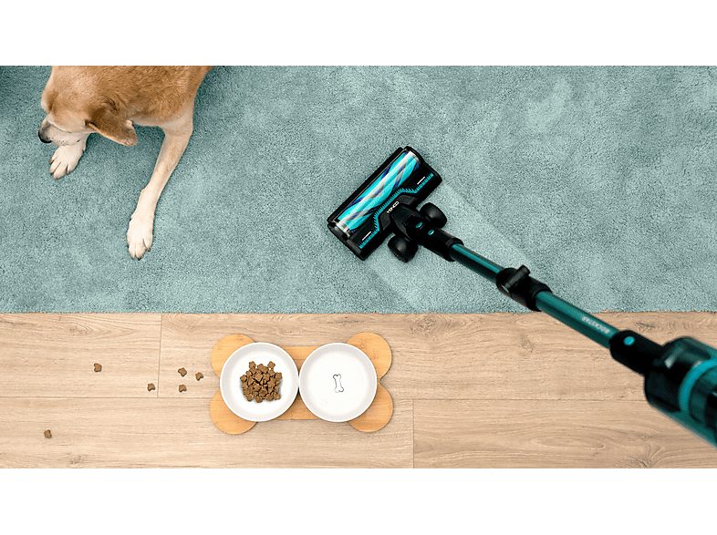 Aspirador escoba - Cecotec RX50 Pet Flex, 300 AW, 780 W, 90 min, Cepillo HairLess, Tubo flexible, Kit completo, Negro/Azul — foto 4