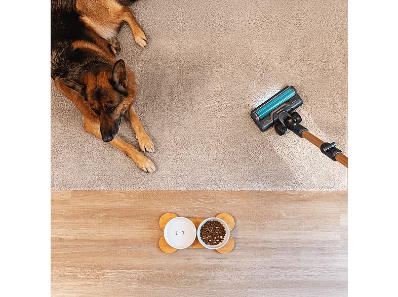 Aspirador escoba - Cecotec RX70 AquaPet Flex, 780 W, 100 min Autonomía, Cepillo HairLess XL, Sin bolsa, Negro/Dorado — foto 8
