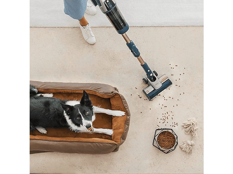 Aspirador escoba - CECOTEC RZ90 AI AquaPet Flex Connected, 850 W, Potencia de succión 310 AirWatt, Depósito 0,6 l, Autonomía 120 min, Gris — foto 5