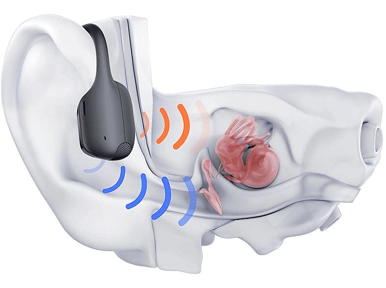 Auriculares conducción ósea - Shokz OpenRun Pro 2 Standard, Banda para el cuello, Bluetooth, 12h Autonomía, DualPitch, IP55, Negro — foto 4
