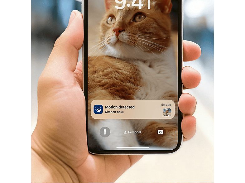 Comedero automático inteligente - Philips PAW5320/02, Detección Movimiento, Programación Comidas, Notificación Reposición, Cámara/Audio HD, Aplicación — foto 4