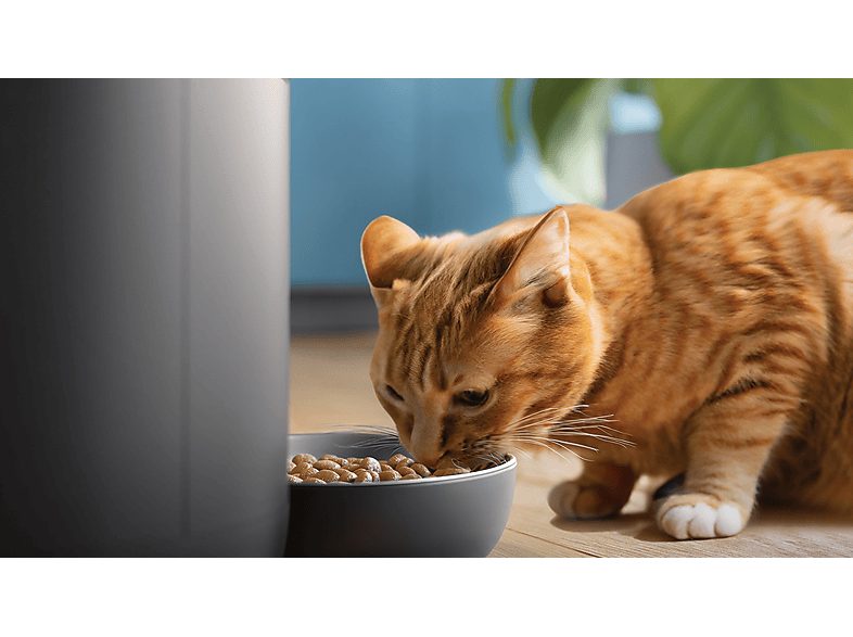 Comedero automático inteligente - Philips PAW5320/02, Detección Movimiento, Programación Comidas, Notificación Reposición, Cámara/Audio HD, Aplicación — foto 6