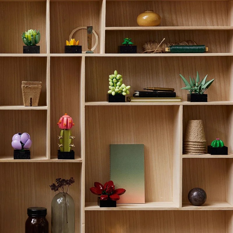 LEGO 10309 Suculentas — foto 11