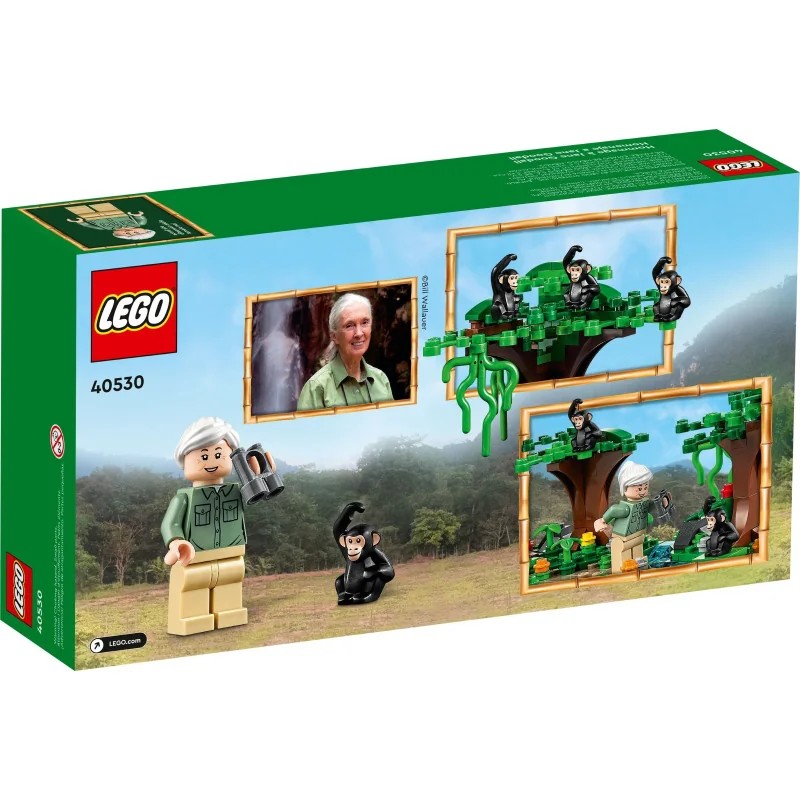LEGO 40530 Homenaje a Jane Goodall — foto 4