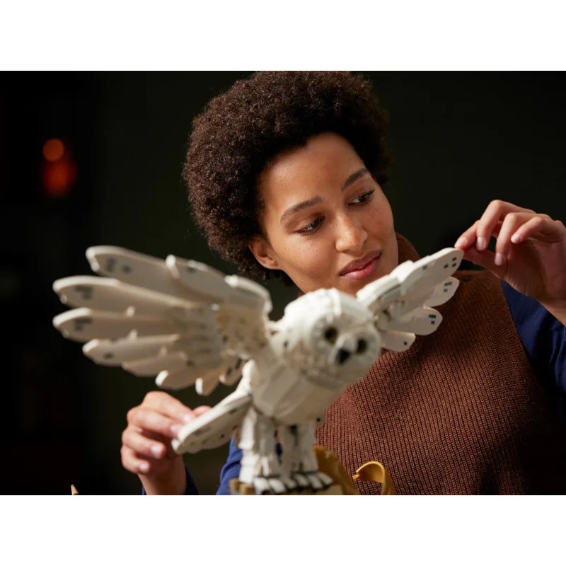 LEGO 76391 Iconos de Hogwarts: edición para Coleccionistas — foto 13